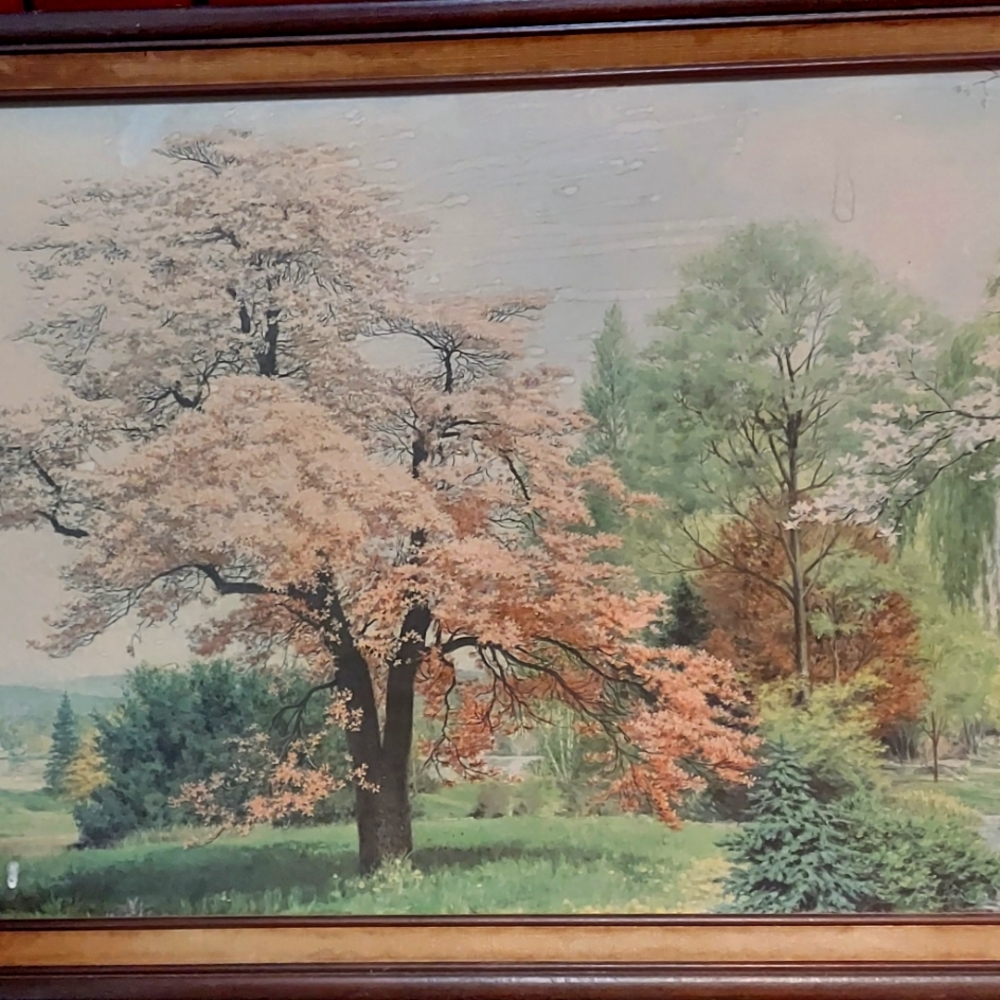 Vintage Robert Doares Original Print in Frame " Summer Prelude"